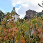 Montmartre fête ses vendanges du 7 au 11 octobre, mais les raisins ont déjà été cueillis