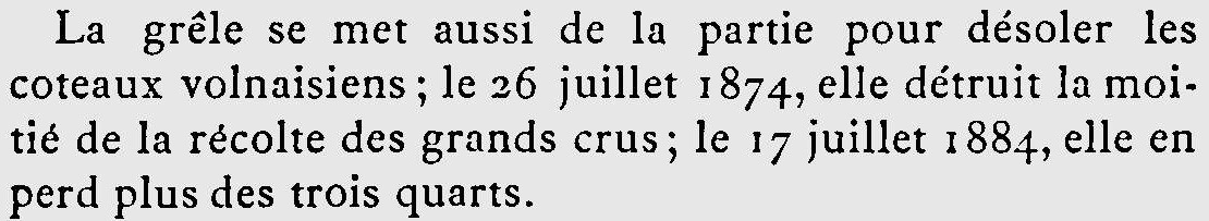 Extrait de l'Histoire de Volnay : le 26 juillet 1874, la grêle détruit la moitié de la récolte des grands crus ; le 17 juillet 1884, elle en perd plus des trois quarts