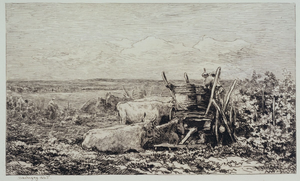 Eau-forte de Daubigny : une charrette de vendange et ses bœufs au repos dans les vignes